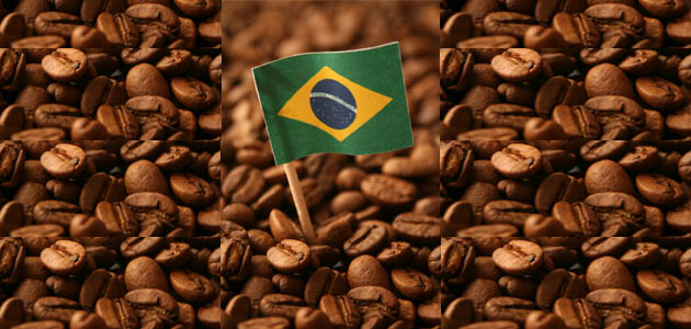 Por primera vez en la historia Brasil importará café a grandes escalas – DIARIO ROATÁN