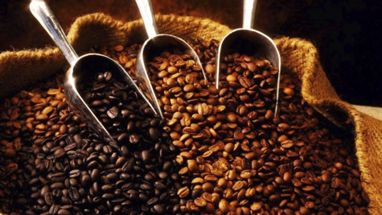 Caen Exportaciones De Café En Honduras – Diario RoatÁn