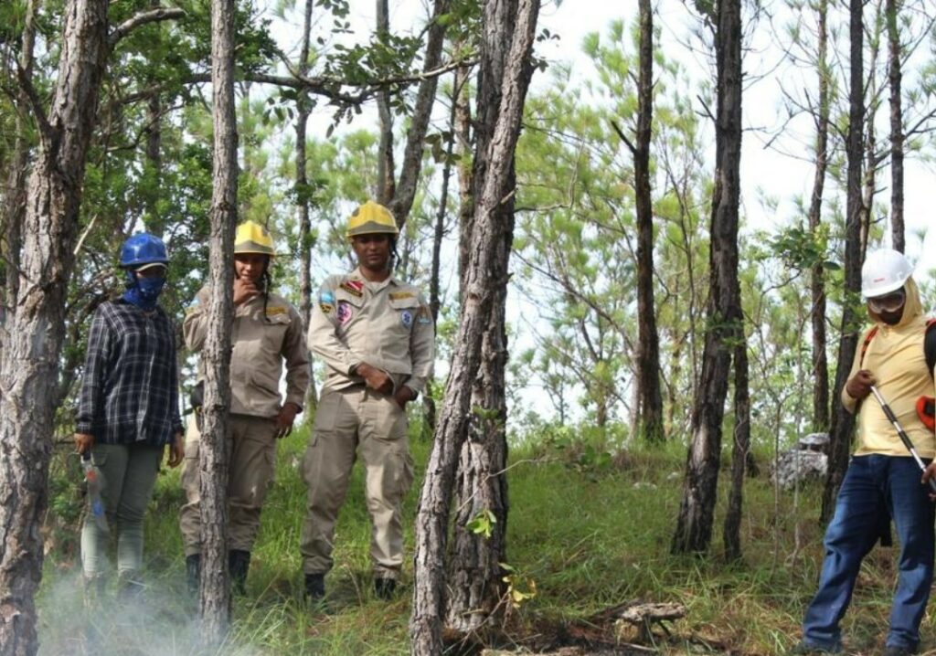 Reserva Forestal Guanaja